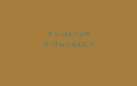 伊苏7任务17在哪接(详细攻略及流程)
